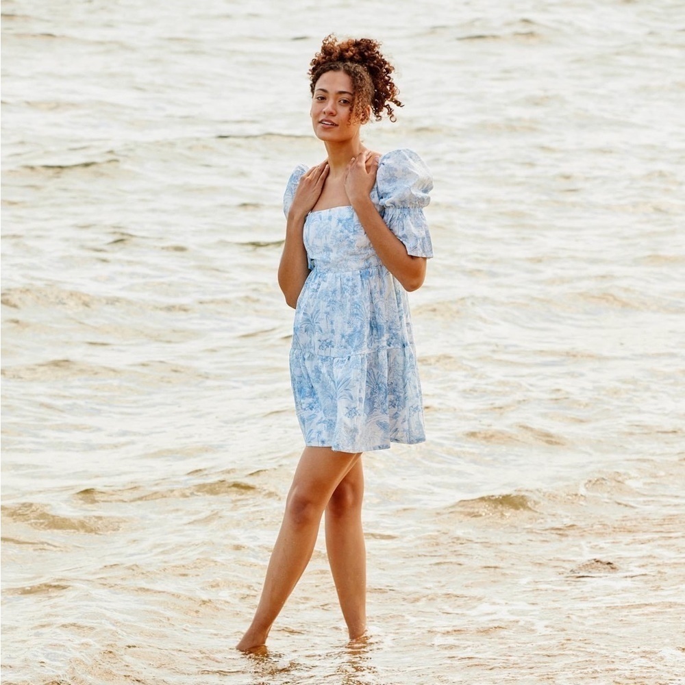 Willard Road Linen Blue Toile Print Puff Sleeve Katherine Dress XS